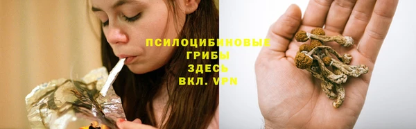 мескалин Баксан