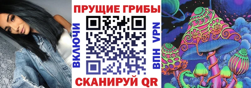где найти наркотики Покровск Галлюциногенные грибы MAGIC MUSHROOMS